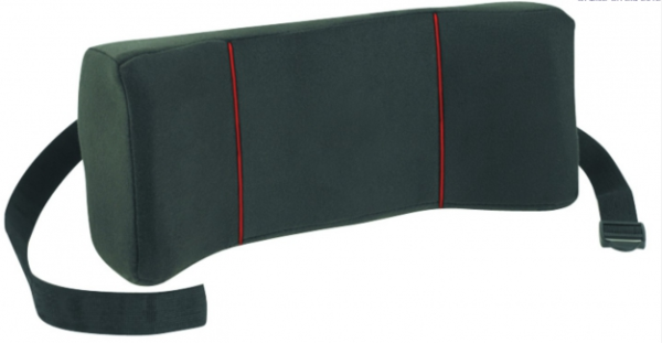 Harley Designer Winged Cushion
