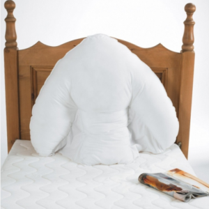 Harley Batwing Pillow