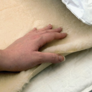 Bed Fleece
