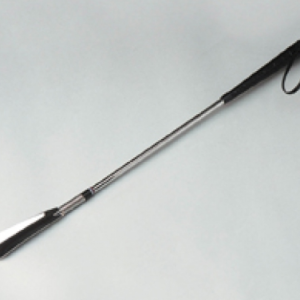 Shoe Horn With Spring