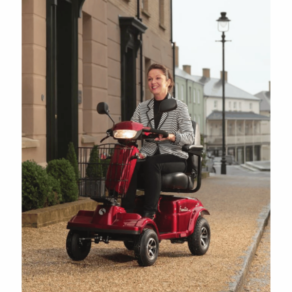 Electric Mobility Rascal Frontier - Image 4