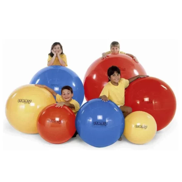 Gymnic Classic Exercise Gym Ball - 650mm assorted colors