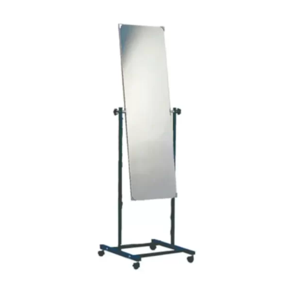 NRS Healthcare Mobile Posture Mirror