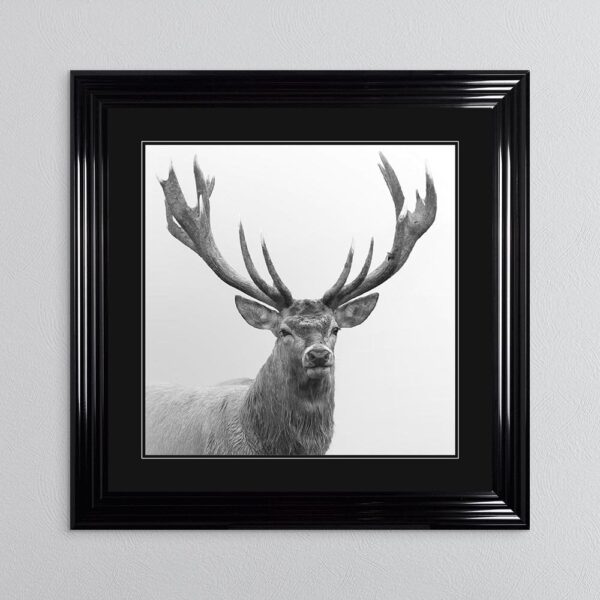 GREY AND WHITE STAG FRAMED WALL ART 90CM x 90CM
