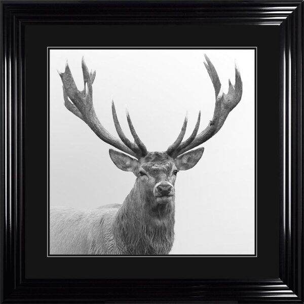 GREY AND WHITE STAG FRAMED WALL ART 90CM x 90CM - Image 3
