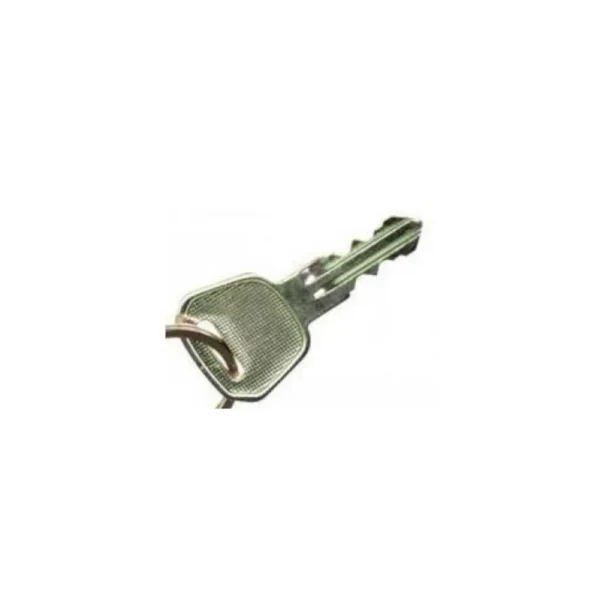 Drive Scout Key