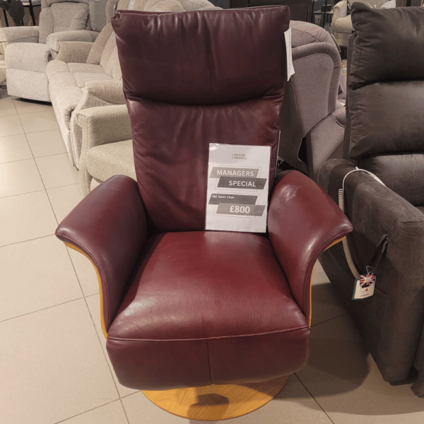 (EX-DEMO) Hjk Swan Chair