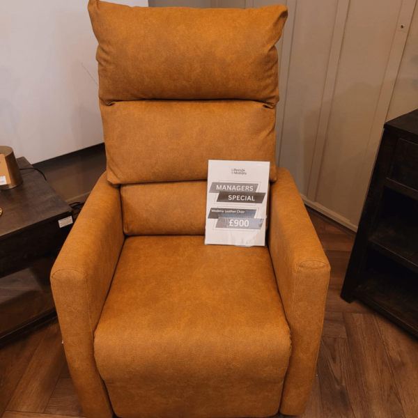 (EX-DEMO) Modena Leather Chair