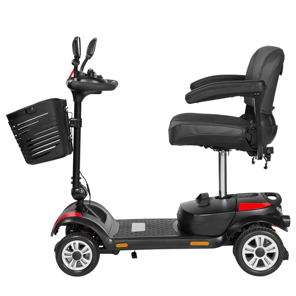 Scooters for the Park - X200