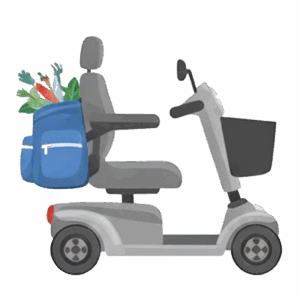 Scooter Bag
